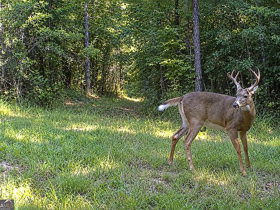 3rd image of Cochran Rd