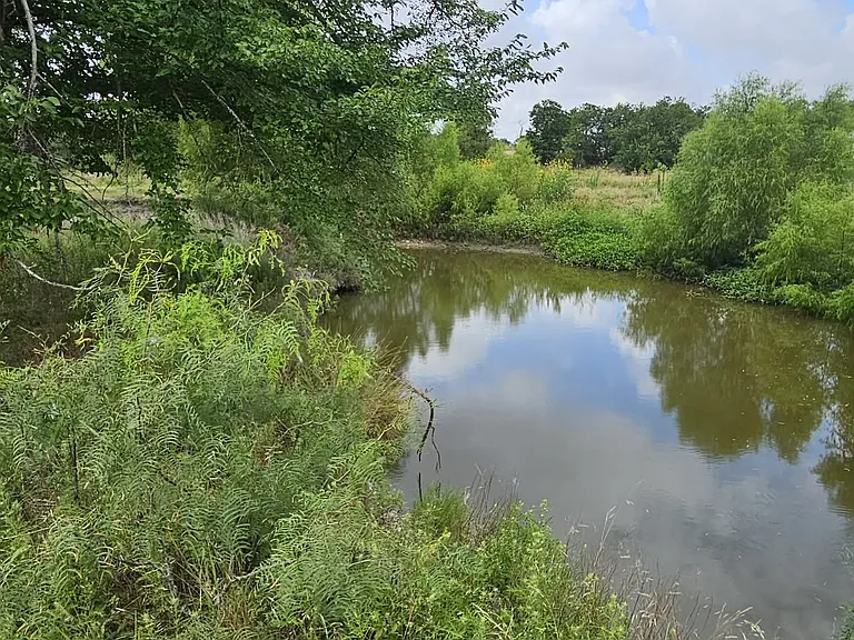 1148 County Road 417 — Photo 14