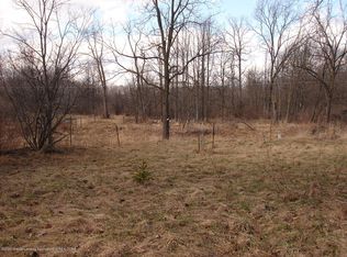 800 Rolfe Rd, Mason, MI 48854