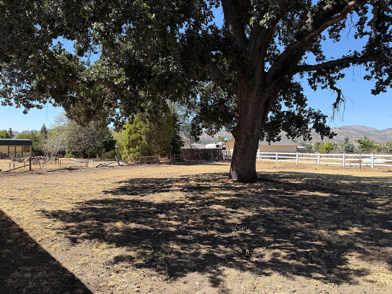 3 bed, 1237 sqft, $2,500 — Photo 4