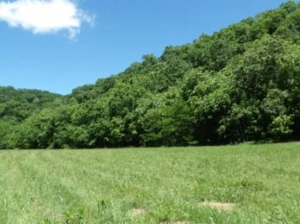 5155 Brimestone Creek Rd, Moss, TN 38575