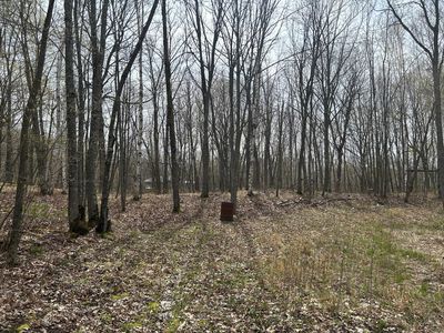 Meander Way, Garrison, MN, 56450