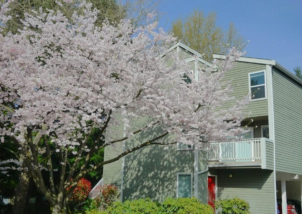 1st image of 10116 NE 124th Pl