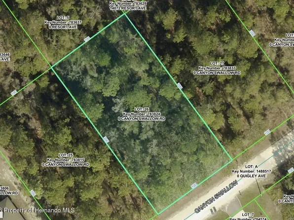 0 Canyon Swallow Rd, Brooksville, FL 34614
