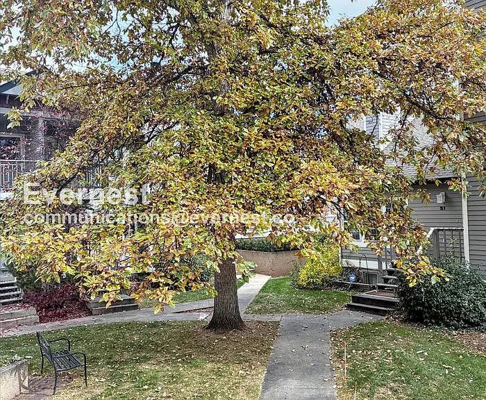 2828 Silverplume Dr #S5 — Photo 64