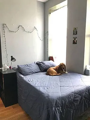 Rented by Bedford Brownstone Realty | media 11