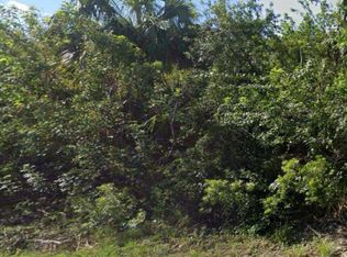 886 Bitlis St SW, Palm Bay, FL 32908