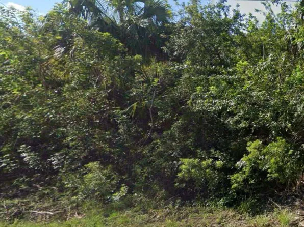 886 Bitlis Street SW, Palm Bay, FL 32908