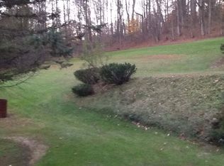 10749 Black Creek Rd, Cohocton, NY 14826