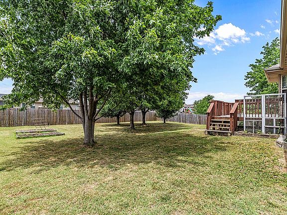 Mature trees in backyard