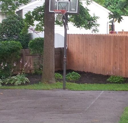 5th image of 4950 Peppermill Ln