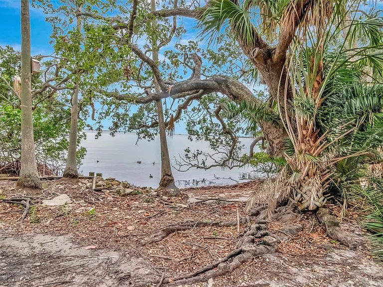 6220 Bayshore Blvd — Photo 49
