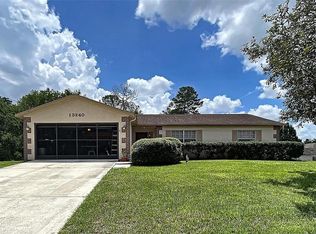 13240 Delbarton St, Spring Hill, FL 34609