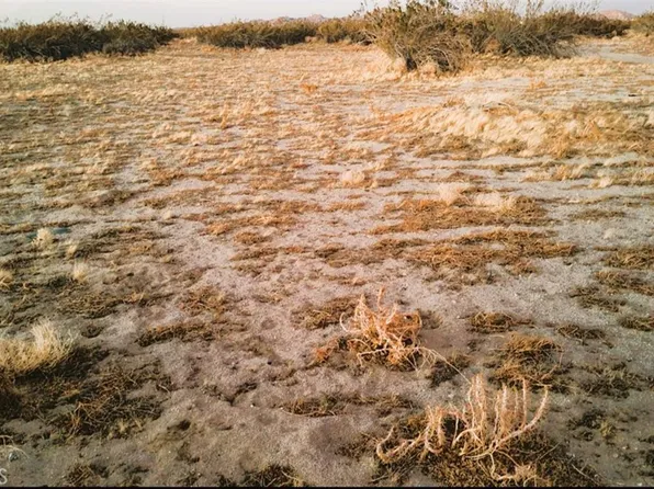 0 Q 13 #112, Littlerock, CA 93543