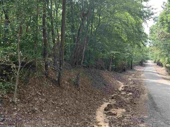 Dan Head Rd, Pocahontas, TN 38061