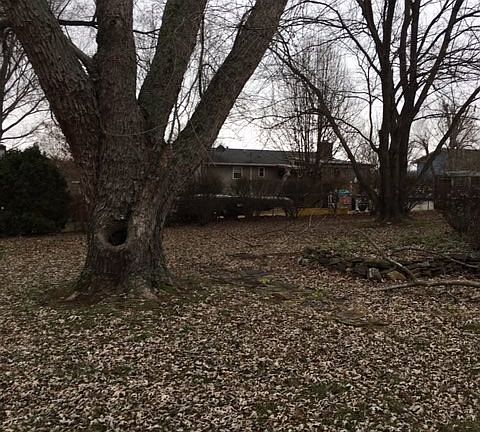 3rd image of 916 Whisperwood Trl NE