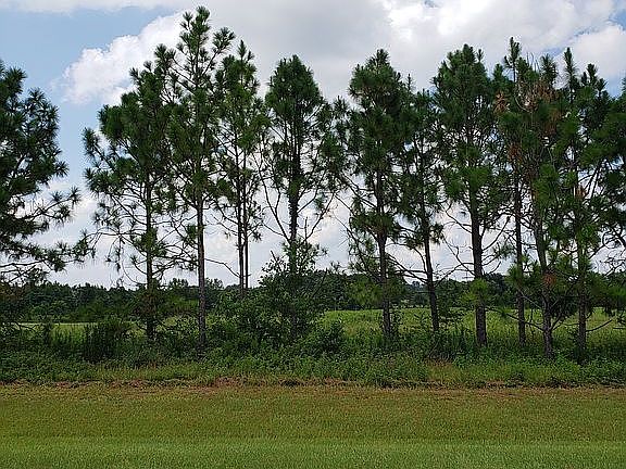 Lot 28A     1.8 acres