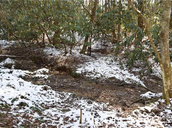 0 Carters Ridge Rd, Spruce Pine, NC 28777