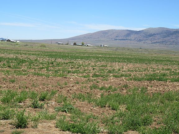 4th image of 667875 Highway 299