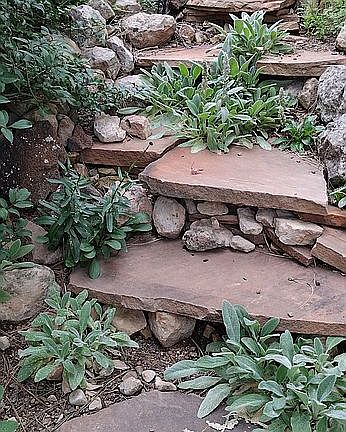 Steps to the backyard