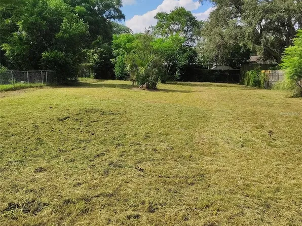 0 E LINEBAUGH AVENUE, TAMPA, FL 33617