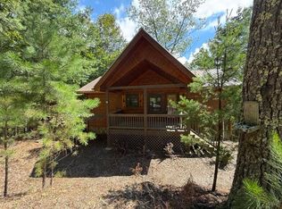 679 Mountain View Cir, Blue Ridge, GA 30513