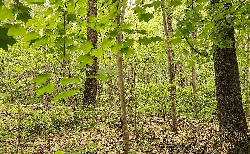 19 Country Knolls Ln, Mahopac, NY 10541 MLS 11212577 Zillow