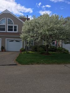 13 Canvasback Way, Walpole, MA, 02081
