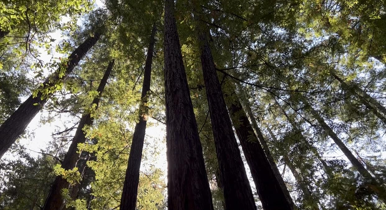 0 Slate Creek Rd, La Honda, CA 94020 MLS ML81941672 Zillow