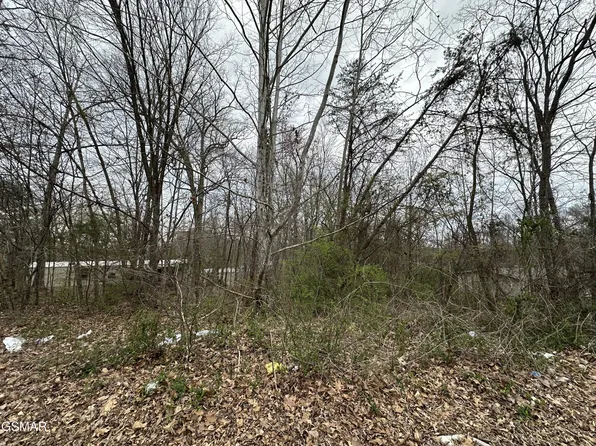 0 Long Ave Lot 84, Newport, TN 37821