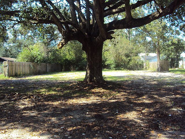 2nd image of 1712 Meadow Ave