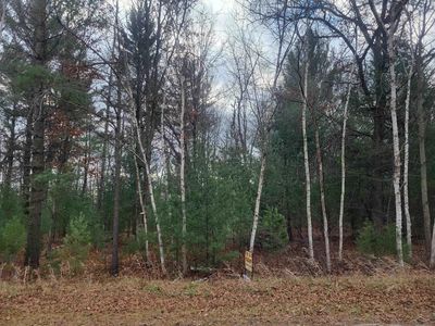 Jackpine Trial Trl, Alger, MI, 48610