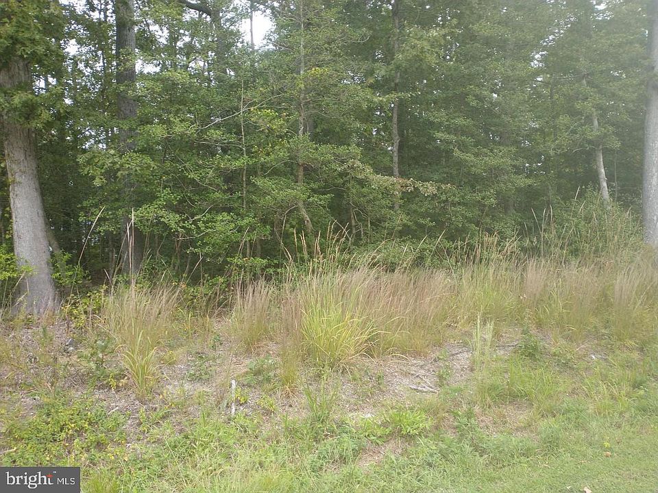 1st image of Fort King Dr