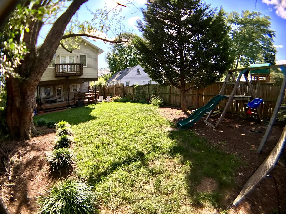 Backyard - 3023 King St