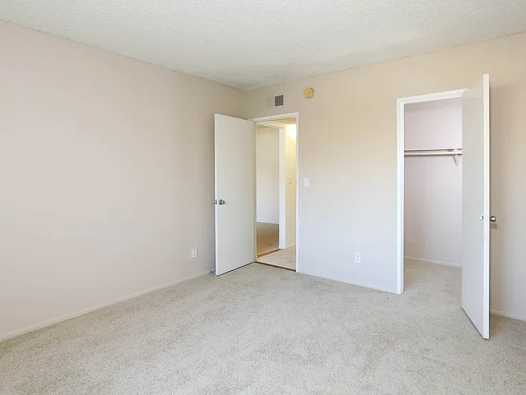Carpeted Bedroom with Walk-In Closet
