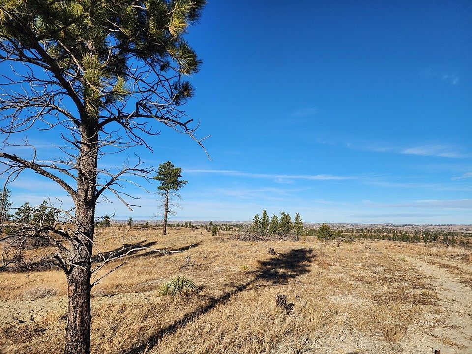 2nd image of 669 Old Stage Rd