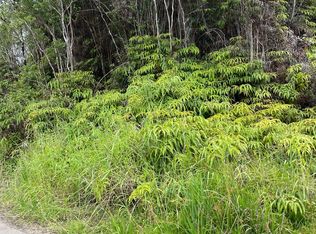 Palm Tree Dr, Mountain View, HI 96771