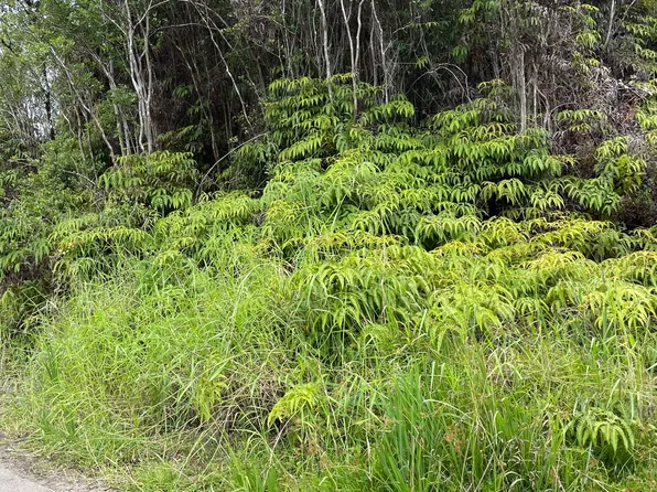 Palm Tree Dr Lot 140, Mountain View, HI 96771