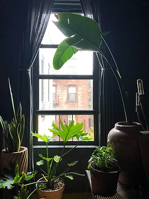 Rented by Midbrook Realty, LLC | media 36