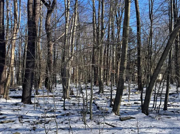 Lot 705 Aspen Terrace, Tobyhanna, PA 18466