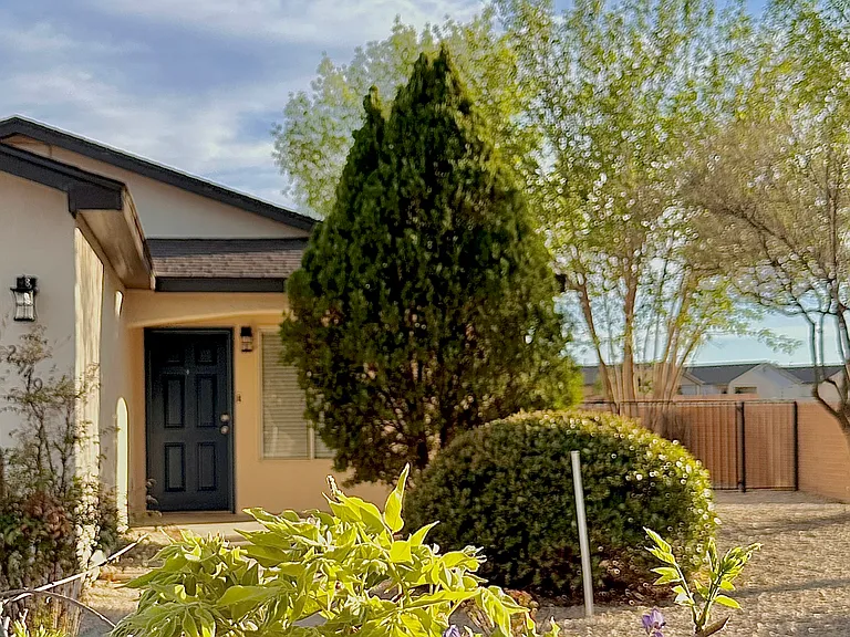 2949 San Miguel Avenue Las Cruces — Photo 3