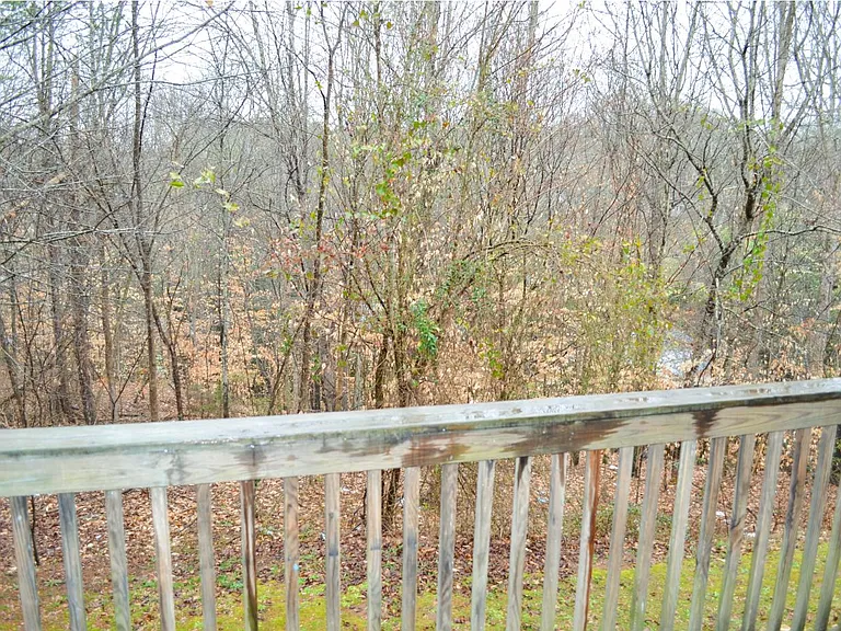 View from the deck