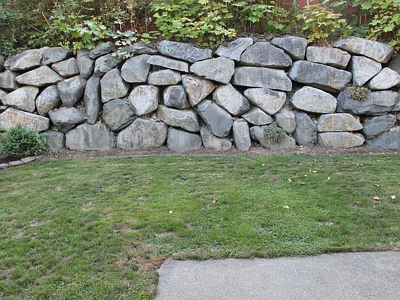 Backyard 2