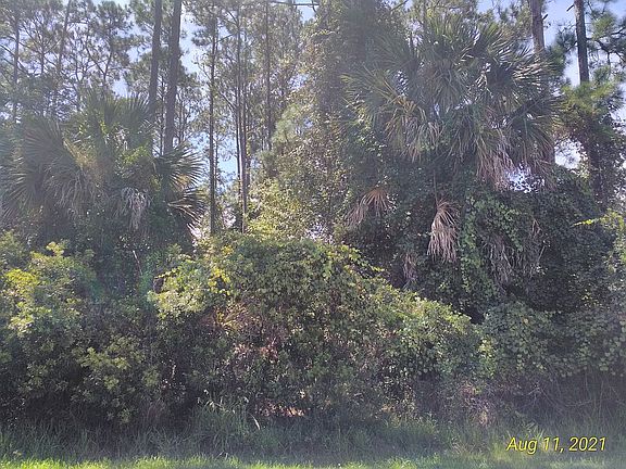 2nd image of 62 Ballenger Ln