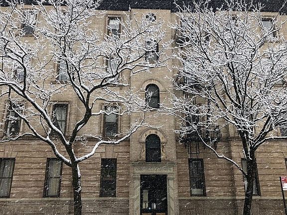 2nd image of 161 Prospect Park W