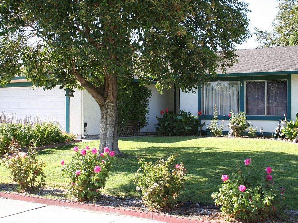 Beautiful Shaded Yard