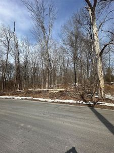 109 Cardinal Rd, Hyde Park, NY, 12538