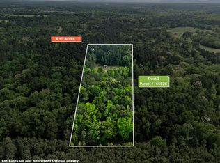 Chinaberry Rd Tract 3, Gilmer, TX 75645