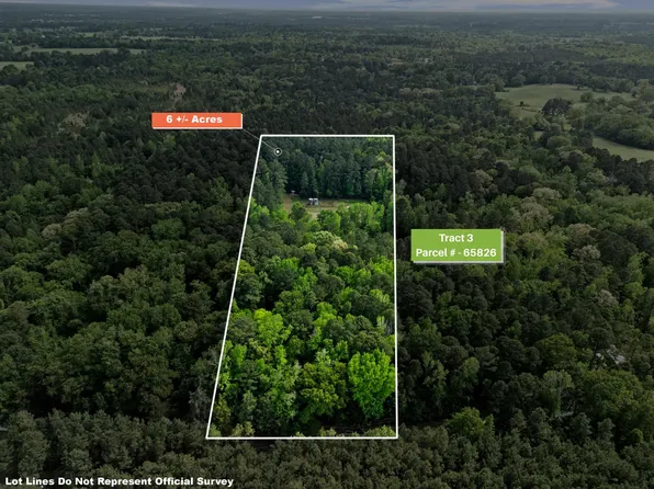 Chinaberry Rd Tract 3, Gilmer, TX 75645