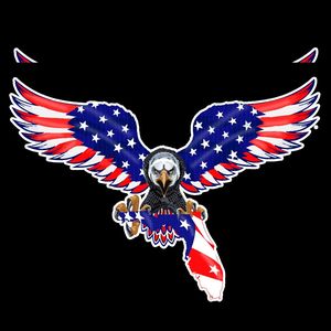 Military Veteran  Team